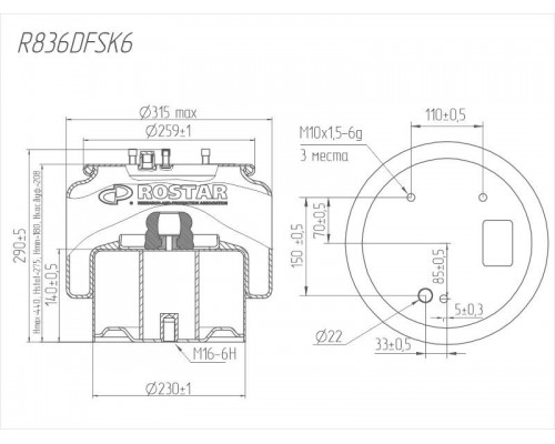 Cylinder (metal piston) R836DFSK6 (CONTITECH 836MBK6)